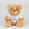 Bear in a t-shirt Thumbnail